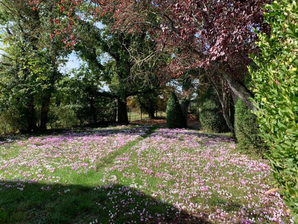 Domaine De Prefond Acomodação com café da manhã Bengy-sur-Craon Exterior foto